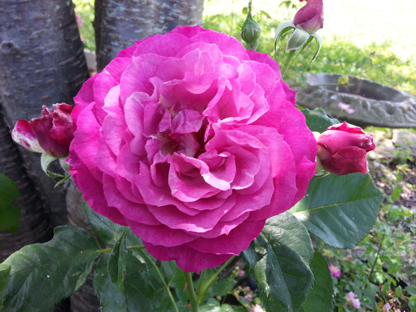 wild blue yonder photo 20130601_135559_zps74cf365f.jpg